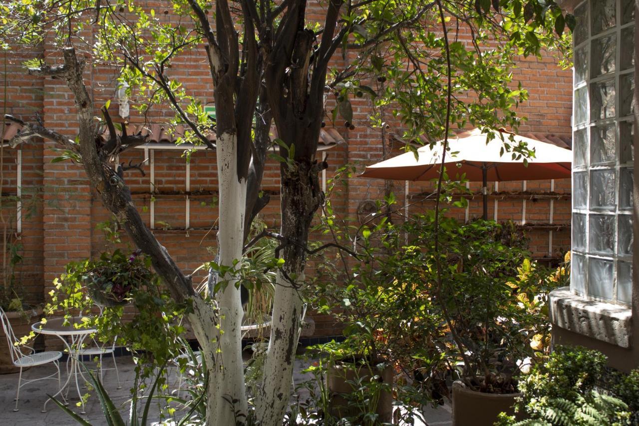Mansion Mijashe Wellness & Travel House Hotel Morelia Kültér fotó