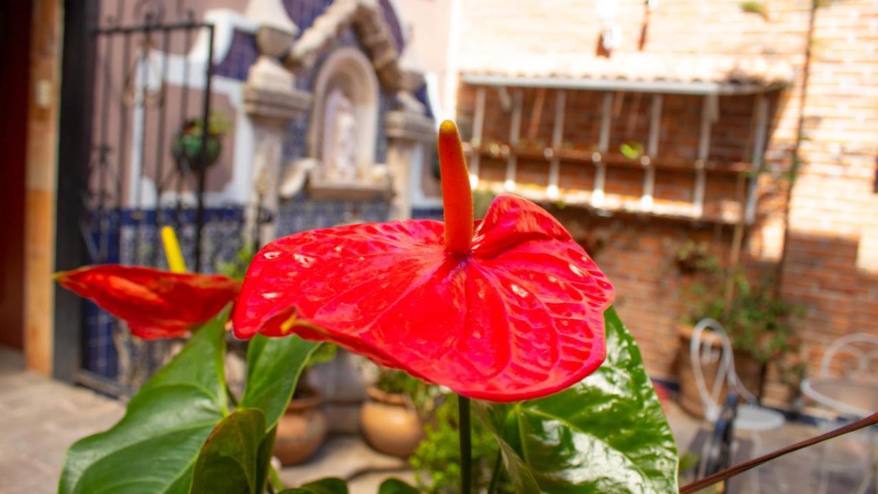 Mansion Mijashe Wellness & Travel House Hotel Morelia Kültér fotó